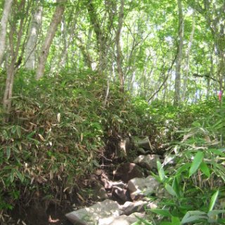 akagiyama-2018-105