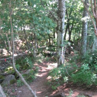 akagiyama-2018-111