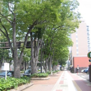 akagiyama-2018-149