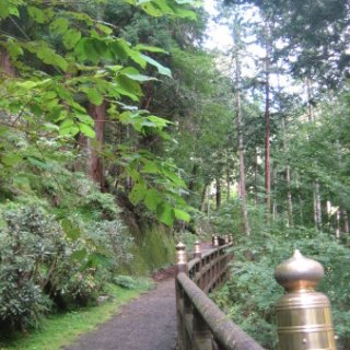 mitumine-shrine-2018-029