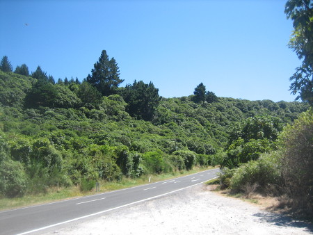 172.JPG