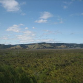 Otipua-Wetland-03