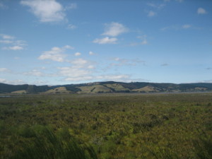 Otipua-Wetland-03.JPG