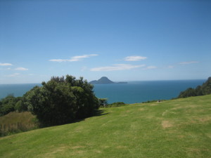 Kohi-point-08.JPG