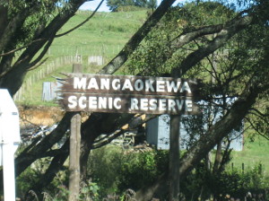 Mangaokewa-Scenic-Reserve-01.jpg