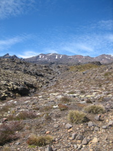 Whakapaapit-Valley-Track-04.JPG