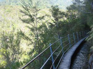 Pupu-Hydro-Walkway-03.JPG