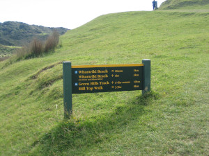 Wharariki-Beach-01.JPG