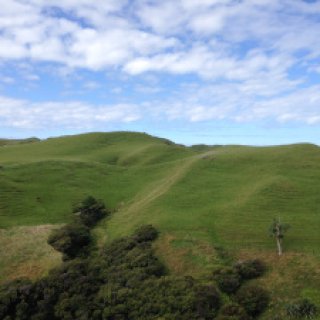 Wharariki-Beach-02