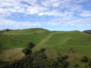 Wharariki-Beach-02.JPG