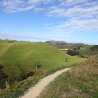 Wharariki-Beach-07