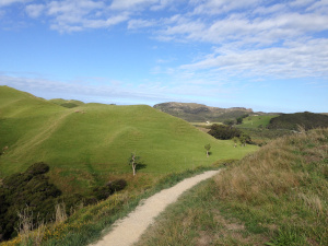 Wharariki-Beach-07.JPG