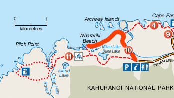 Wharariki-Beach-map.JPG