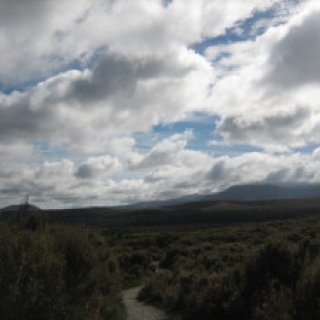 taranaki-falls-track-02