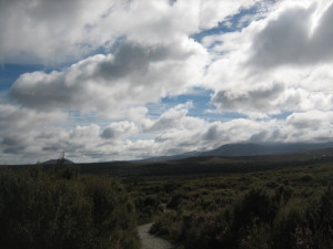 taranaki-falls-track-02.JPG