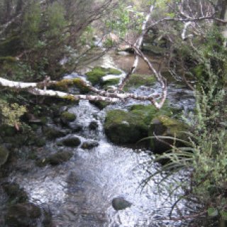 taranaki-falls-track-03