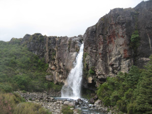 taranaki-falls-track-04.JPG