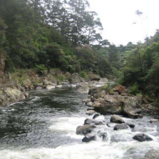 karangahake-gorge-historic-walkway-04