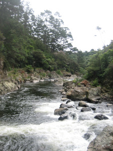 karangahake-gorge-historic-walkway-04.JPG