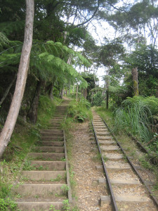 karangahake-gorge-historic-walkway-05.JPG