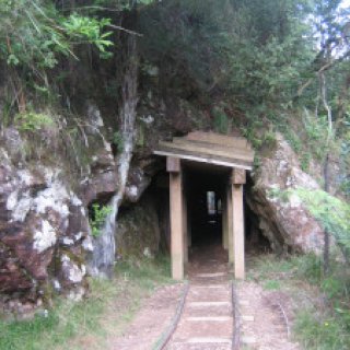 karangahake-gorge-historic-walkway-06