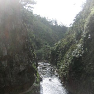 karangahake-gorge-historic-walkway-07