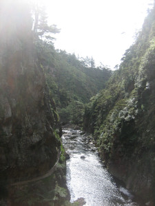 karangahake-gorge-historic-walkway-07.JPG