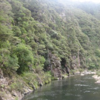 karangahake-gorge-historic-walkway-08