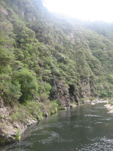 karangahake-gorge-historic-walkway-08.JPG