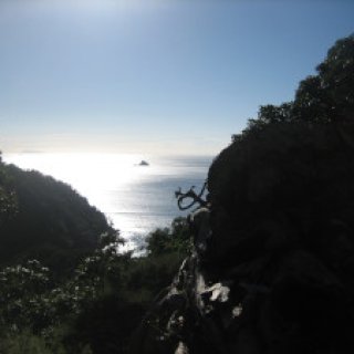 coromandel-coastal-walkway-02