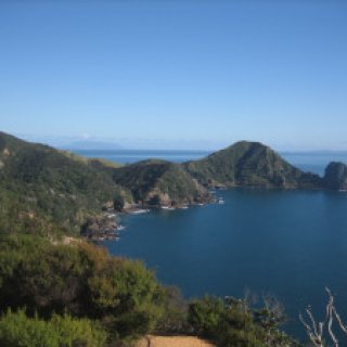 coromandel-coastal-walkway-03