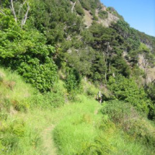 coromandel-coastal-walkway-05