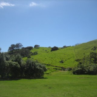 coromandel-coastal-walkway-07