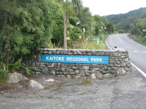 Kaitoke-Regional-Park-campground-01.JPG