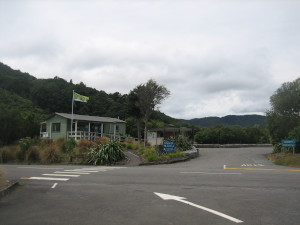 Kaitoke-Regional-Park-campground-02.JPG