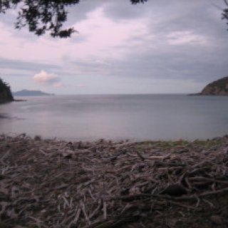 Stony-Bay-Campsite-06