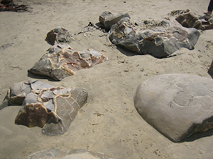 Moeraki-Boulders-Beach-03.jpg