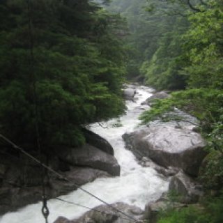 yakusugiland-03