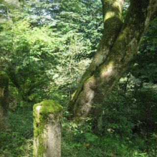 hieizan-01