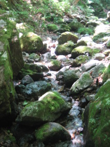 mitake-rockgarden-05.JPG