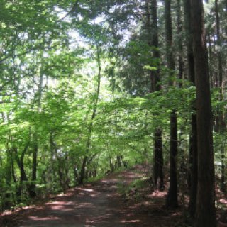 2018-05-14-jimba-takao-05