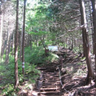 2018-05-14-jimba-takao-07