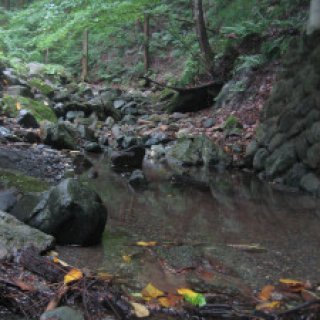 2018-07-07-minoyama-04