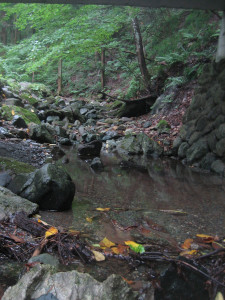 2018-07-07-minoyama-04.JPG