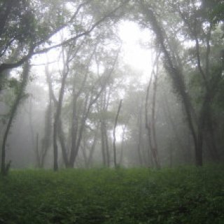 2018-07-07-minoyama-06