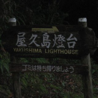 yakushimatodai-01