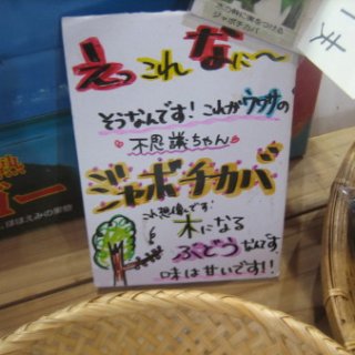 2016.08.25-222
