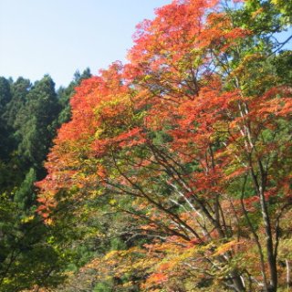 2016.11.22-15