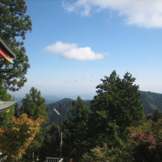2016.11.22-22