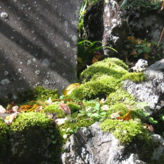 2016.11.22-23